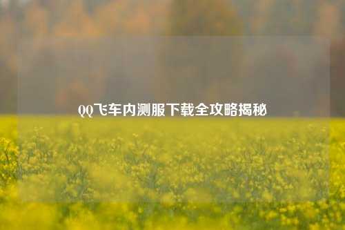 QQ飞车内测服下载全攻略揭秘