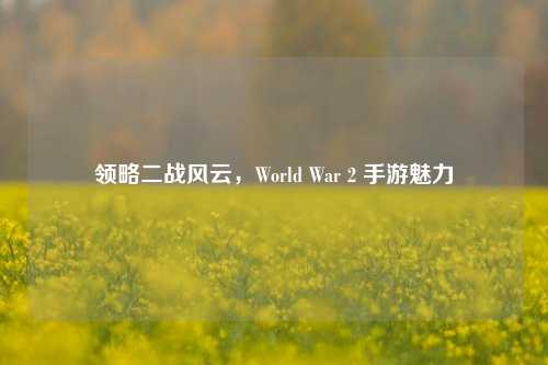 领略二战风云，World War 2 手游魅力