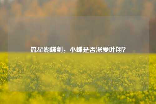 流星蝴蝶剑，小蝶是否深爱叶翔？