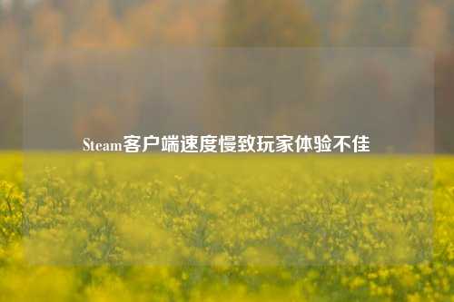 Steam客户端速度慢致玩家体验不佳