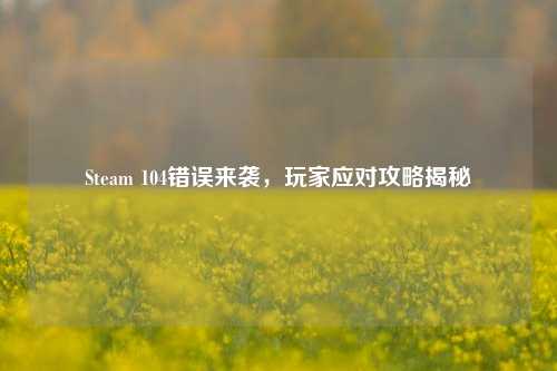 Steam 104错误来袭，玩家应对攻略揭秘