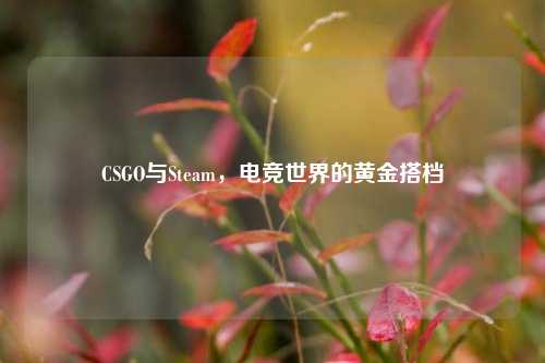 CSGO与Steam，电竞世界的黄金搭档
