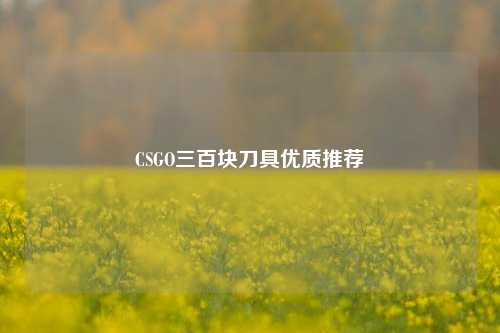 CSGO三百块刀具优质推荐