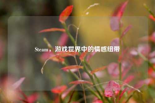 Steam，游戏世界中的情感纽带