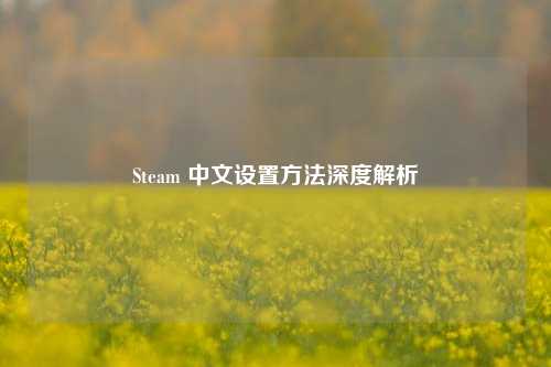 Steam 中文设置方法深度解析