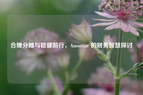 合理分摊与稳健前行，Amortize 的财务智慧探讨