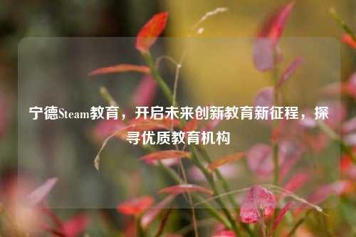 宁德Steam教育,开启未来创新教育新征程,探寻优质教育机构