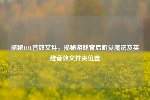探秘LOL音效文件,揭秘游戏背后听觉魔法及英雄音效文件夹位置