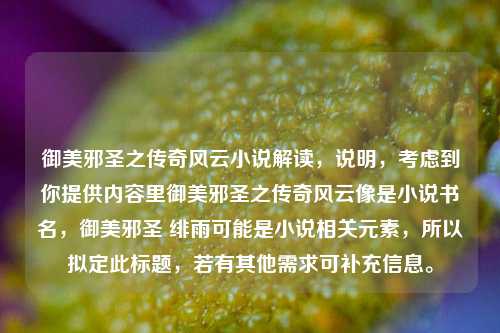 御美邪圣之传奇风云小说解读，说明，考虑到你提供内容里御美邪圣之传奇风云像是小说书名，御美邪圣 绯雨可能是小说相关元素，所以拟定此标题，若有其他需求可补充信息。