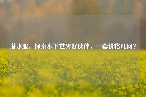 潜水服，探索水下世界好伙伴，一套价格几何？