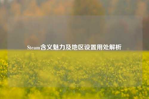 Steam含义魅力及地区设置用处解析