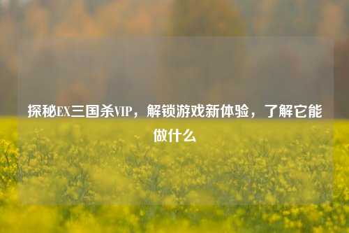探秘EX三国杀VIP，解锁游戏新体验，了解它能做什么