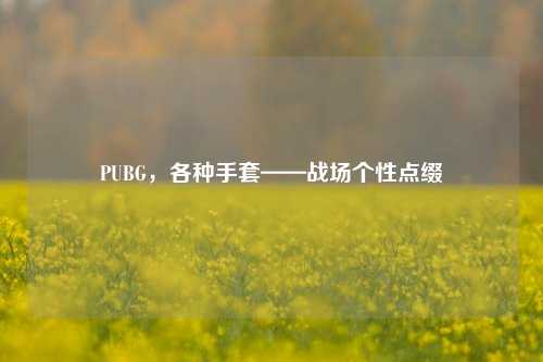 PUBG,各种手套——战场个性点缀