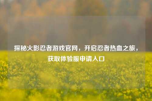 探秘火影忍者游戏官网,开启忍者热血之旅,获取体验服申请入口