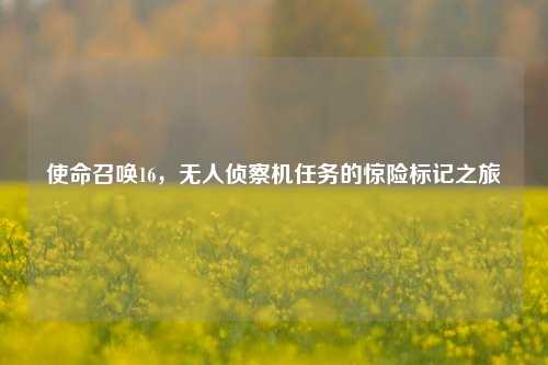 使命召唤16,无人侦察机任务的惊险标记之旅