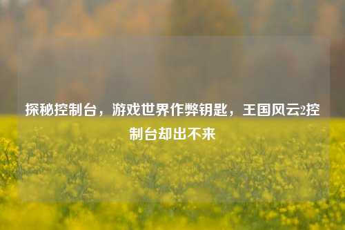 探秘控制台,游戏世界作弊钥匙,王国风云2控制台却出不来