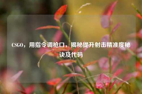 CSGO,用指令调枪口,揭秘提升射击精准度秘诀及代码