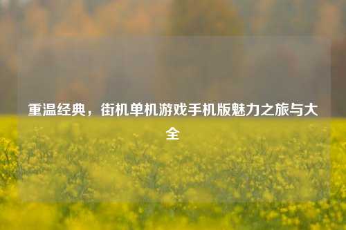 重温经典，街机单机游戏手机版魅力之旅与大全