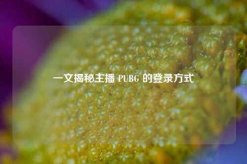 一文揭秘主播 PUBG 的登录方式