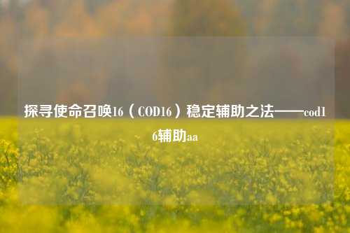 探寻使命召唤16（COD16）稳定辅助之法——cod16辅助aa