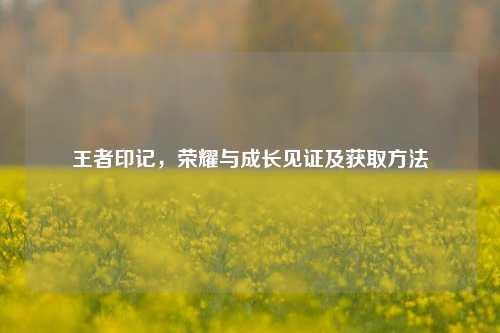 王者印记，荣耀与成长见证及获取方法