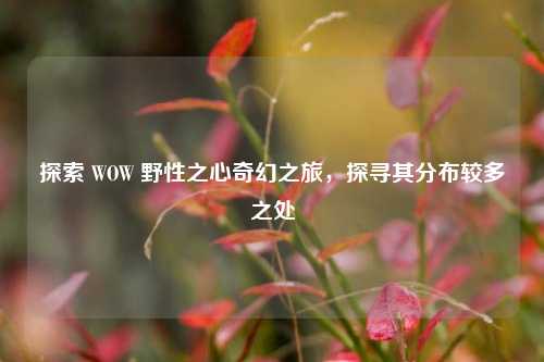探索 WOW 野性之心奇幻之旅，探寻其分布较多之处