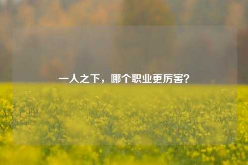 一人之下，哪个职业更厉害？