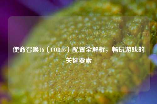 使命召唤16（COD16）配置全解析，畅玩游戏的关键要素