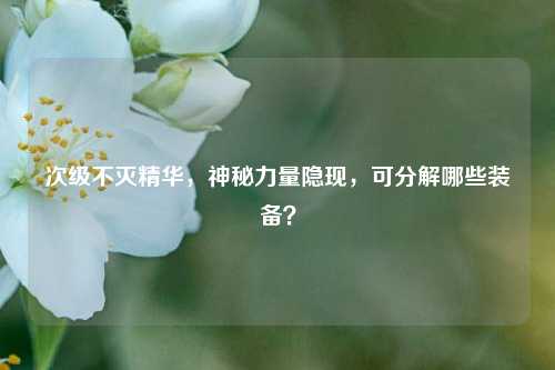 次级不灭精华，神秘力量隐现，可分解哪些装备？
