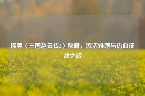 探寻〈三国赵云传2〉秘籍,激活难题与热血征战之旅