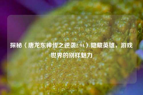 探秘〈唐龙东神传之逆袭2.9A〉隐藏英雄，游戏世界的别样魅力