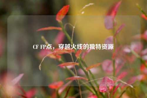 CF FP点，穿越火线的独特资源