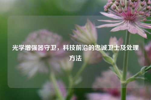 光学增强器守卫,科技前沿的忠诚卫士及处理方法