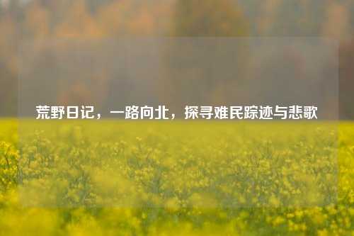 荒野日记,一路向北,探寻难民踪迹与悲歌