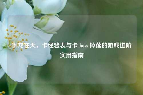 御龙在天,卡经验表与卡 boss 掉落的游戏进阶实用指南