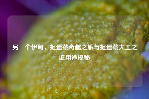 另一个伊甸,捉迷藏奇趣之旅与捉迷藏大王之证用途揭秘