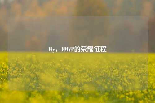 Fly，FMVP的荣耀征程
