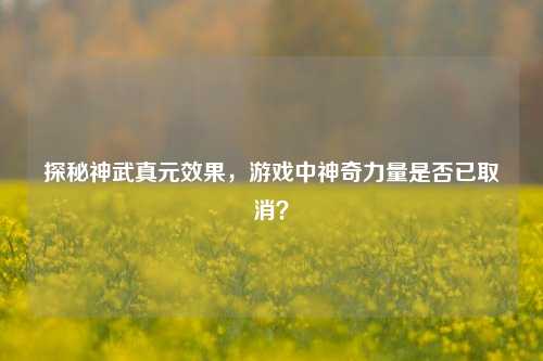 探秘神武真元效果，游戏中神奇力量是否已取消？