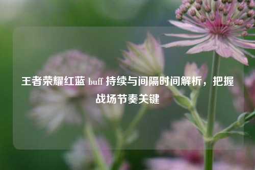 王者荣耀红蓝 buff 持续与间隔时间解析,把握战场节奏关键