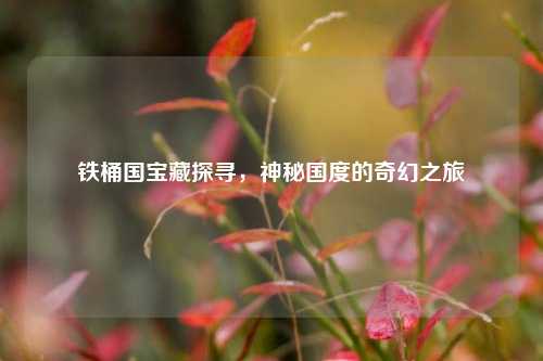 铁桶国宝藏探寻，神秘国度的奇幻之旅
