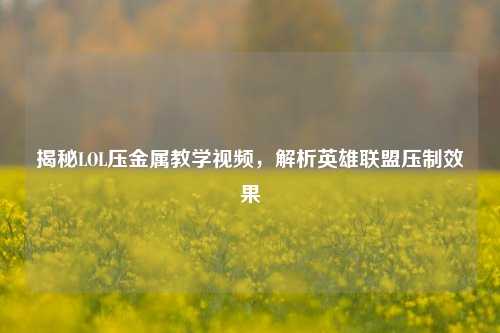揭秘LOL压金属教学视频，解析英雄联盟压制效果