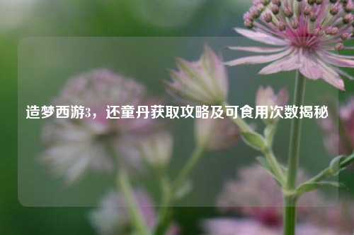 造梦西游3，还童丹获取攻略及可食用次数揭秘