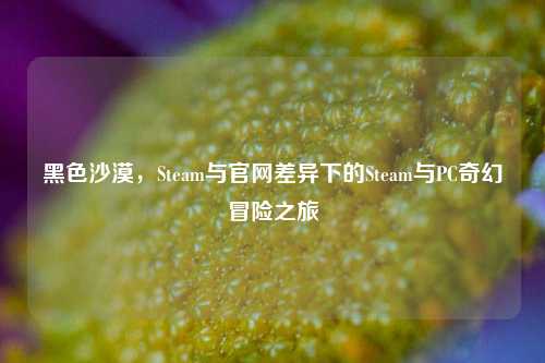 黑色沙漠，Steam与官网差异下的Steam与PC奇幻冒险之旅